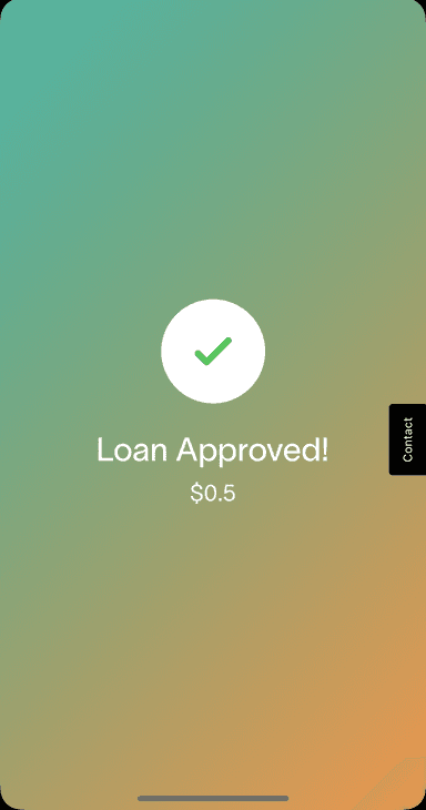 Loan Approved Instant Payment