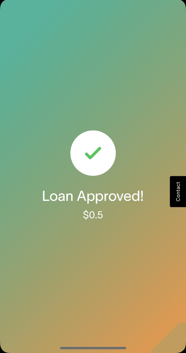 Loan Approved - Instant Payment