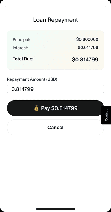Repay Loan